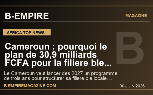 Cameroun : pourquoi le plan de 30,9 milliards FCFA pour la filiere ble peut devenir un test majeur de souverainete alimentaire