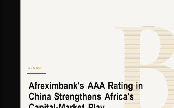 Afreximbank's AAA Rating in China Strengthens Africa's Capital-Market Play