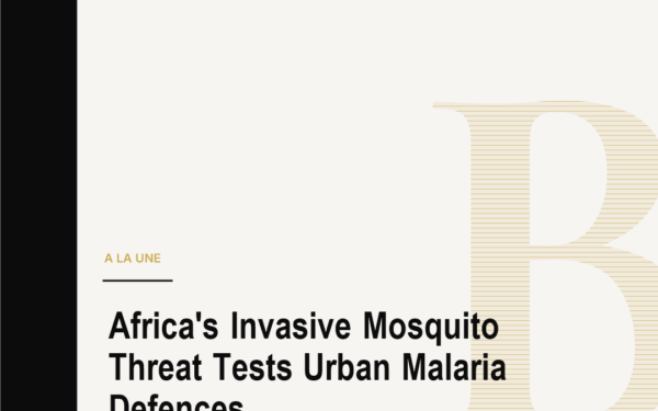 Africa's Invasive Mosquito Threat Tests Urban Malaria Defences