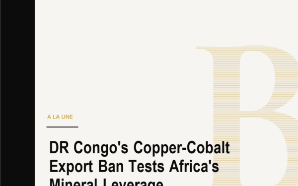 DR Congo's Copper-Cobalt Export Ban Tests Africa's Mineral Leverage