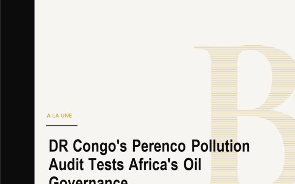 DR Congo's Perenco Pollution Audit Tests Africa's Oil Governance