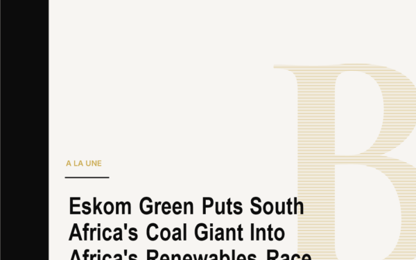 Eskom Green Puts South Africa's Coal Giant Into Africa's Renewables Race