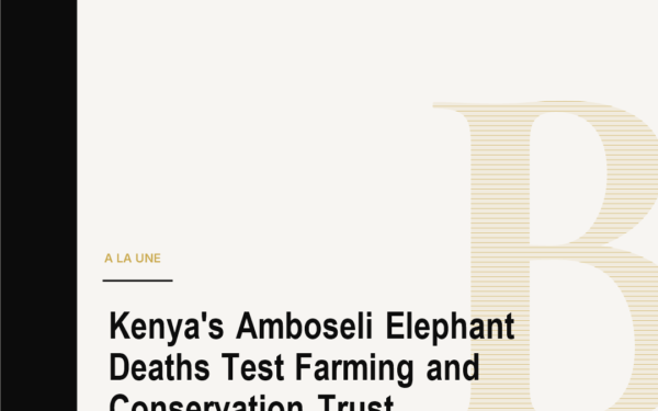 Kenya's Amboseli Elephant Deaths Test Farming and Conservation Trust