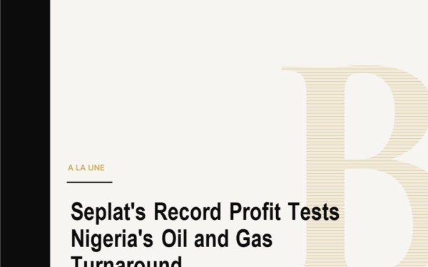 Seplat's Record Profit Tests Nigeria's Oil and Gas Turnaround