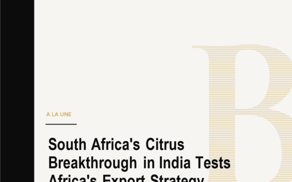South Africa's Citrus Breakthrough in India Tests Africa's Export Strategy