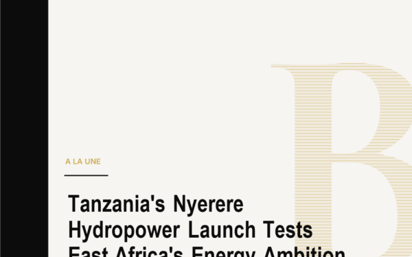 Tanzania's Nyerere Hydropower Launch Tests East Africa's Energy Ambition
