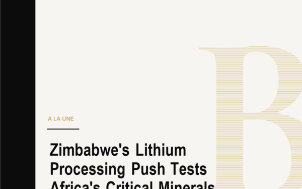 Zimbabwe's Lithium Processing Push Tests Africa's Critical Minerals Bargain